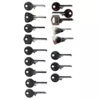 Lot de 17 Bumpkeys paracentiques