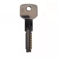 Bumpkey DOM DM22