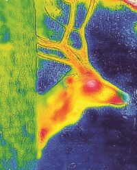 Caméra thermique portable FLIR One pour IOS