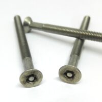 Vis inviolables brevetées Bryce Fastener Security