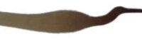 Pick C01 - Corbeau par "Cocolitos"