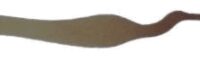 Pick C05 - Corbeau par "Cocolitos"